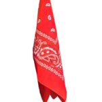 Prowler Hanky Oranje